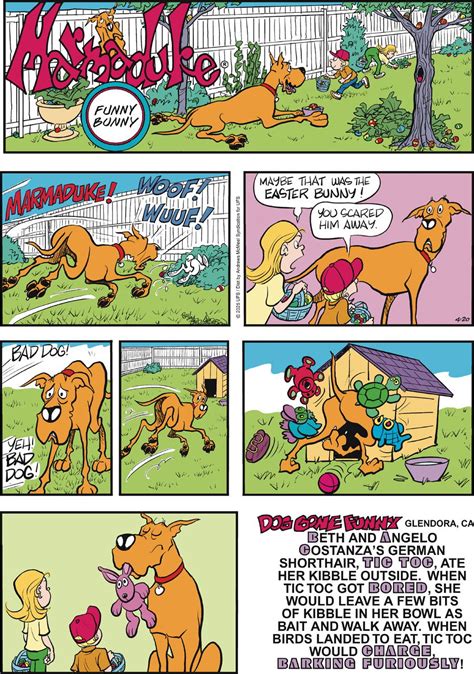fgo comics|gocomics.